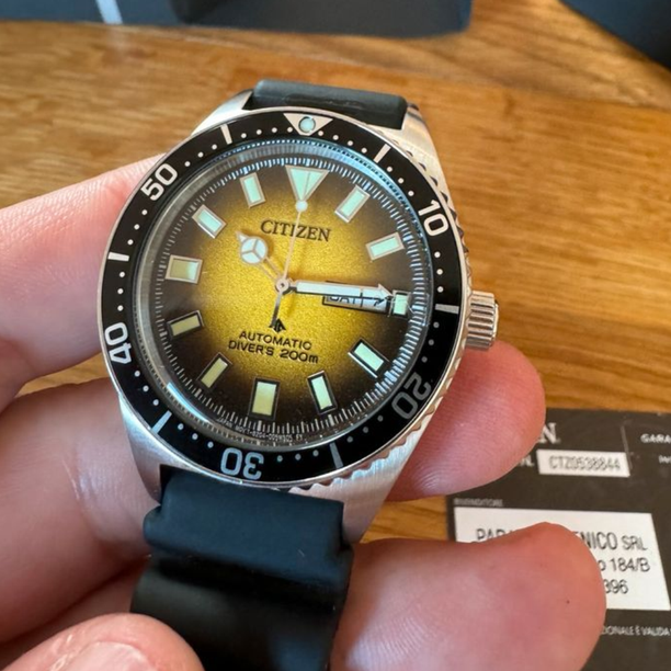Reloj Citizen Promaster NY0120-01X Buceo Automático 41 mm