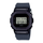 Reloj Casio G-Shock Vintage DW-5600NNJ-2DR Edición Limitada Ninja Japan