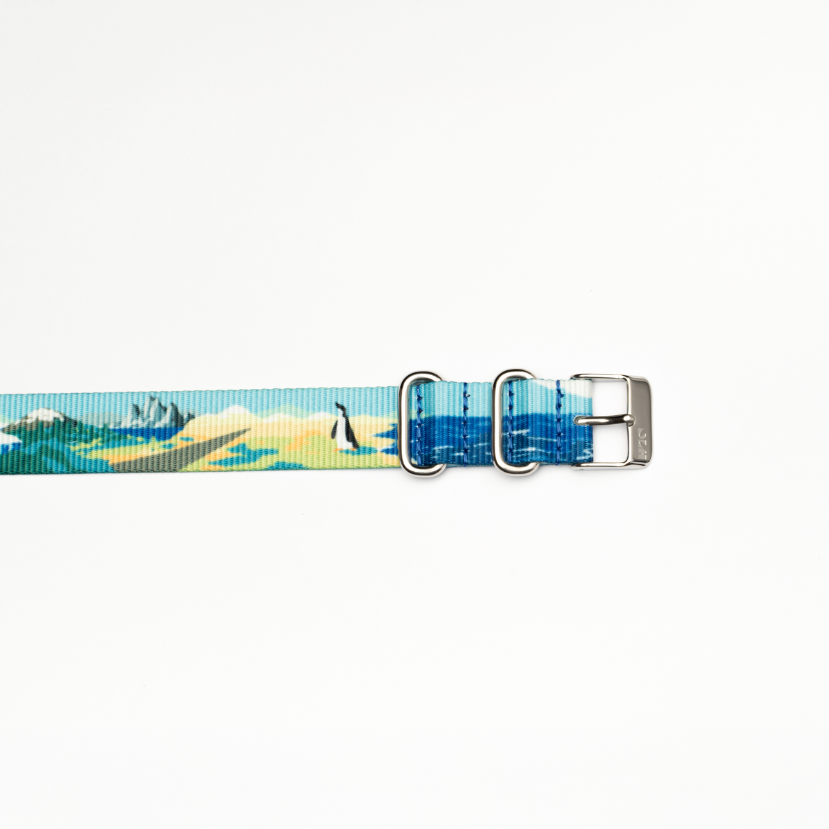 Correa Dando La Hora Colección Naturaleza Chilena [Extremo Austral]