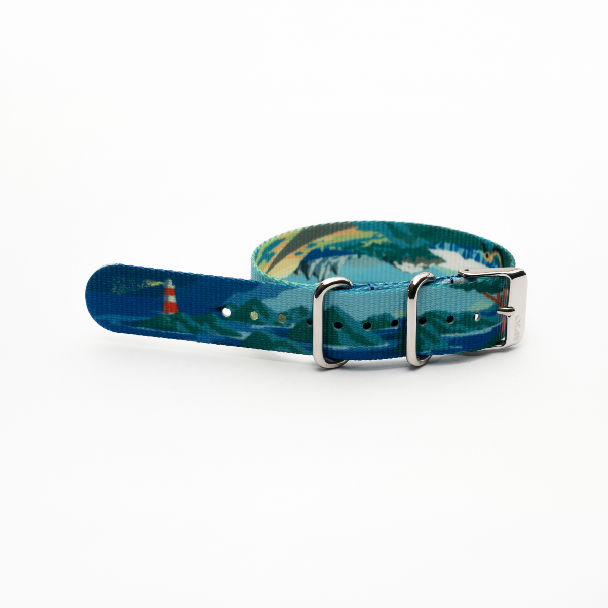 Correa Dando La Hora Colección Naturaleza Chilena [Extremo Austral]