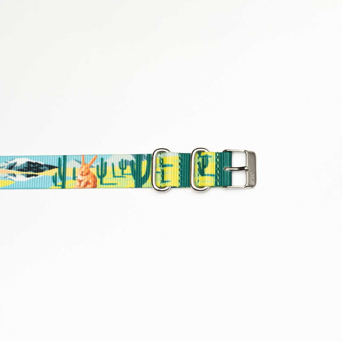 Correa Dando La Hora Colección Naturaleza Chilena [Norte]