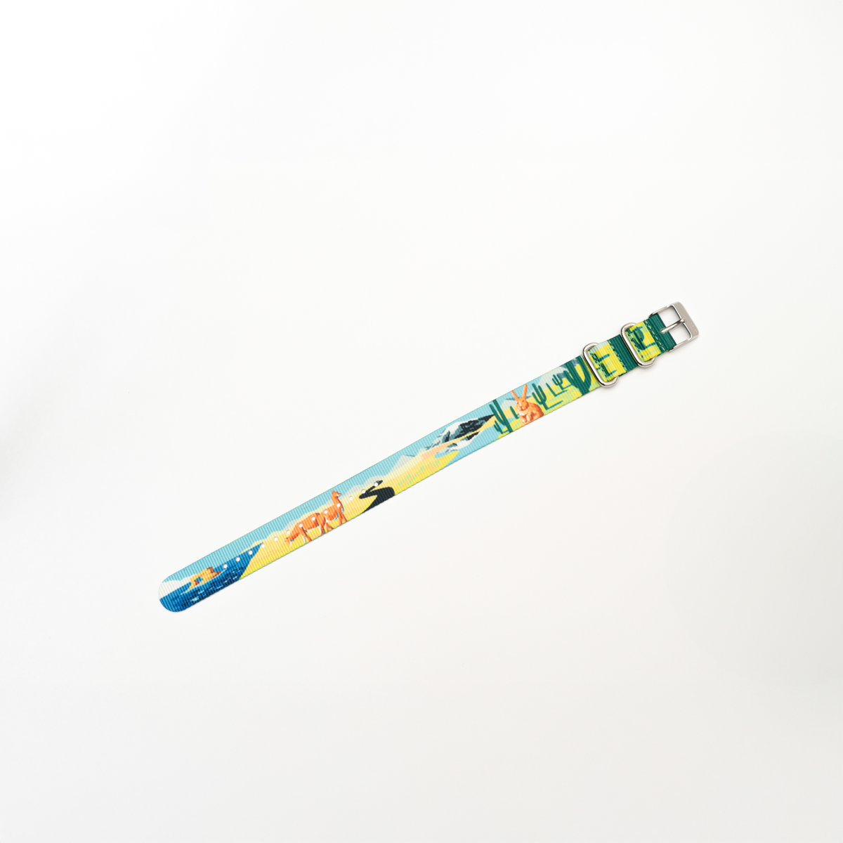 Correa Dando La Hora Colección Naturaleza Chilena [Norte]