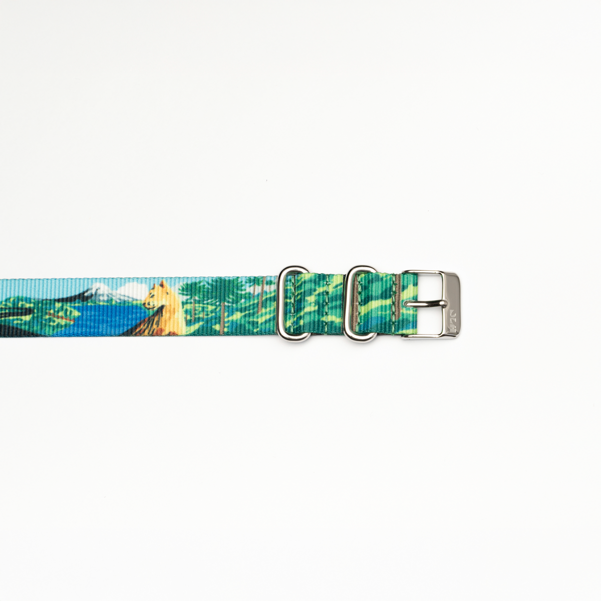 Correa Dando La Hora Colección Naturaleza Chilena [Sur]