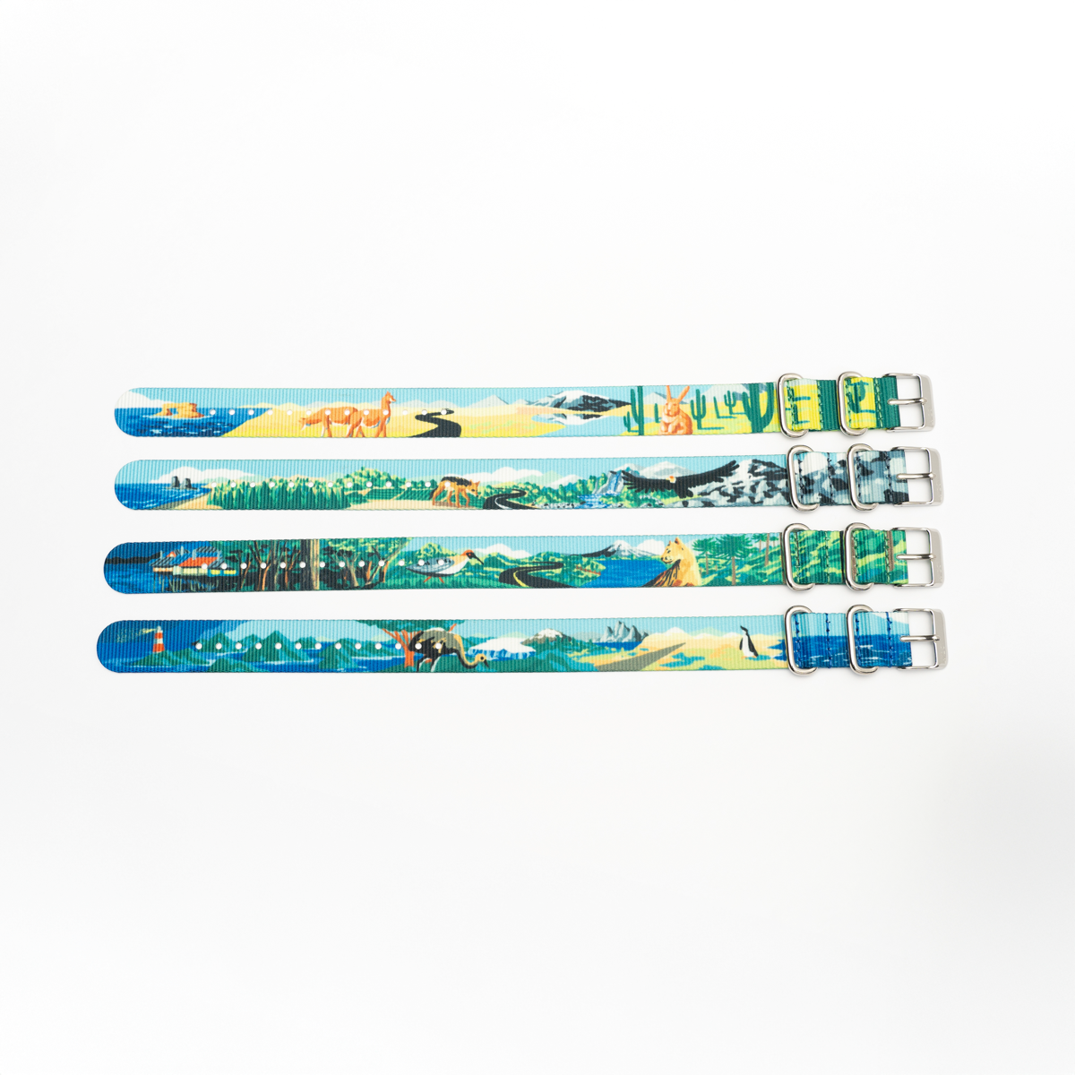 Correa Dando La Hora Colección Naturaleza Chilena [Centro]