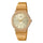 Reloj Casio Vintage MQ-24G-9E Dorado Correa de Acero