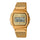 Reloj Casio Vintage A1000MG-9 Caja Metálica Rosa Nácar - Dando la Hora