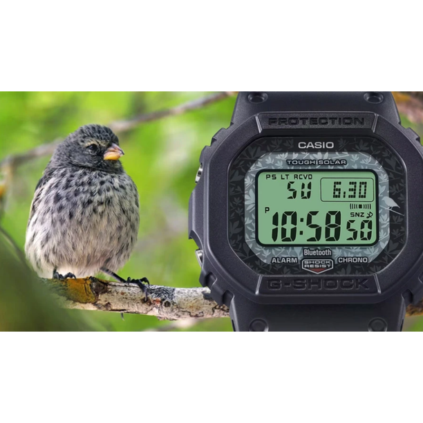 Reloj Casio G-Shock GW-B5600CD-1A3 Charles Darwin Galápagos Edición Limitada