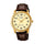 Reloj Casio Análogo MTP-V001GL-9BUDF Correa de Cuero - Dando la Hora